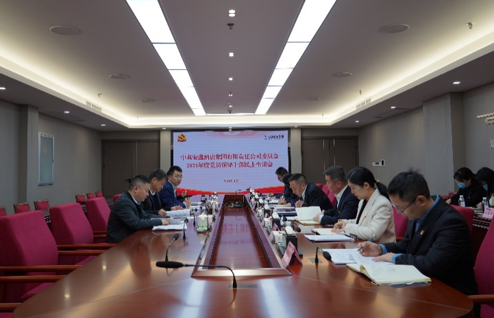 尊龙凯时集团党委书记、董事长任丁出席安逸酒店集团2022年度党员领导干部民主生活会